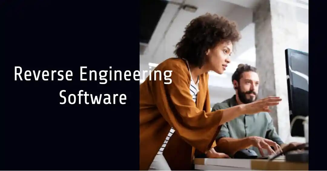Reverse Engineering Software